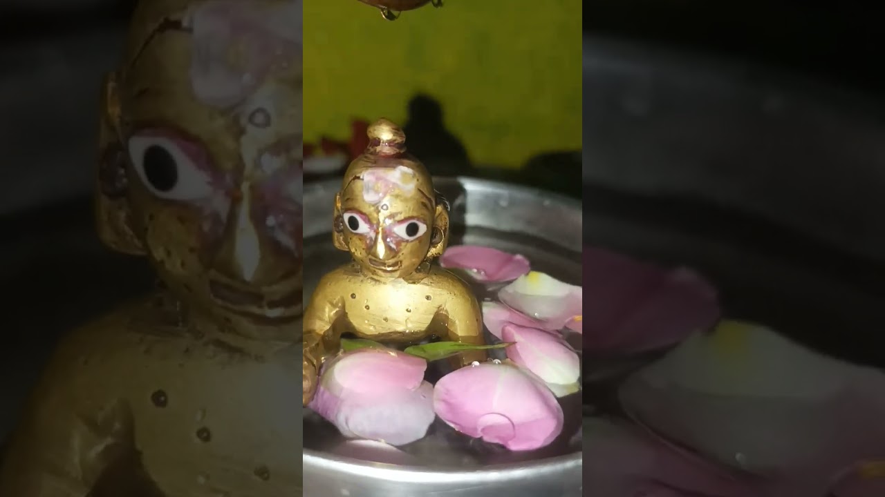 जय श्री kanhaji💕 