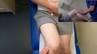 Examination of the Knee Joint