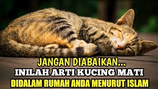 Inilah Arti Kucing Mati di Dalam Rumah Menurut Islam - Jejak Islam