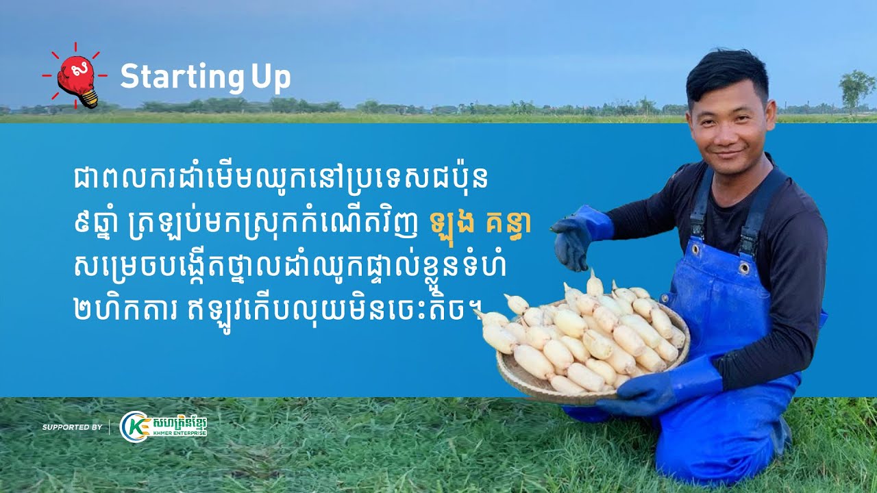 លោក ឡុង គន្ធា ម្ចាស់កសិដ្ឋានមើមឈូក ខេធី | Starting Up