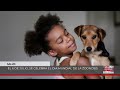NOTICIAS ASONGA 6-7-2024 ESTOS SON LOS RIVALES DEL NZALANG PARA LAS CAN 2025