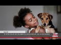 NOTICIAS ASONGA 6-7-2024 ESTOS SON LOS RIVALES DEL NZALANG PARA LAS CAN 2025