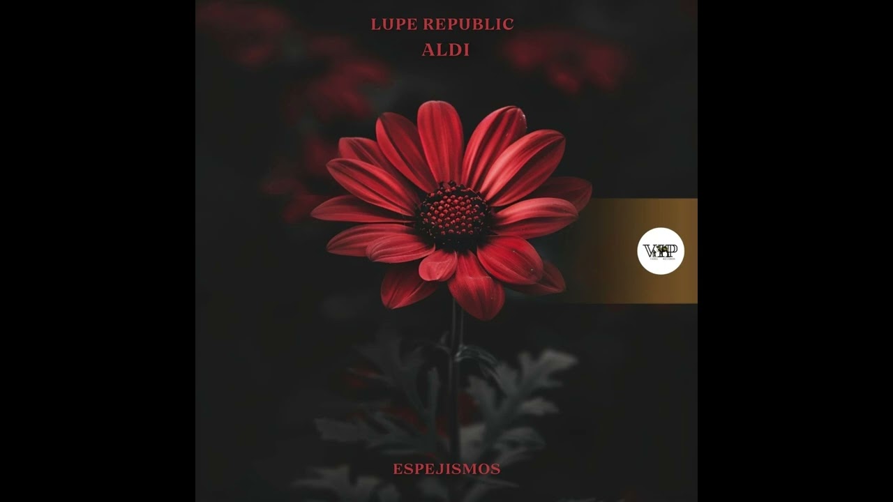 Watch Lupe Republic, Aldi - Espejismos (Original Mix) on YouTube