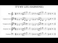 It's my life-harmonie