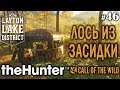 theHunter call of the wild #46 🔫 - Лось Из Засидки - Винтовка - Лось