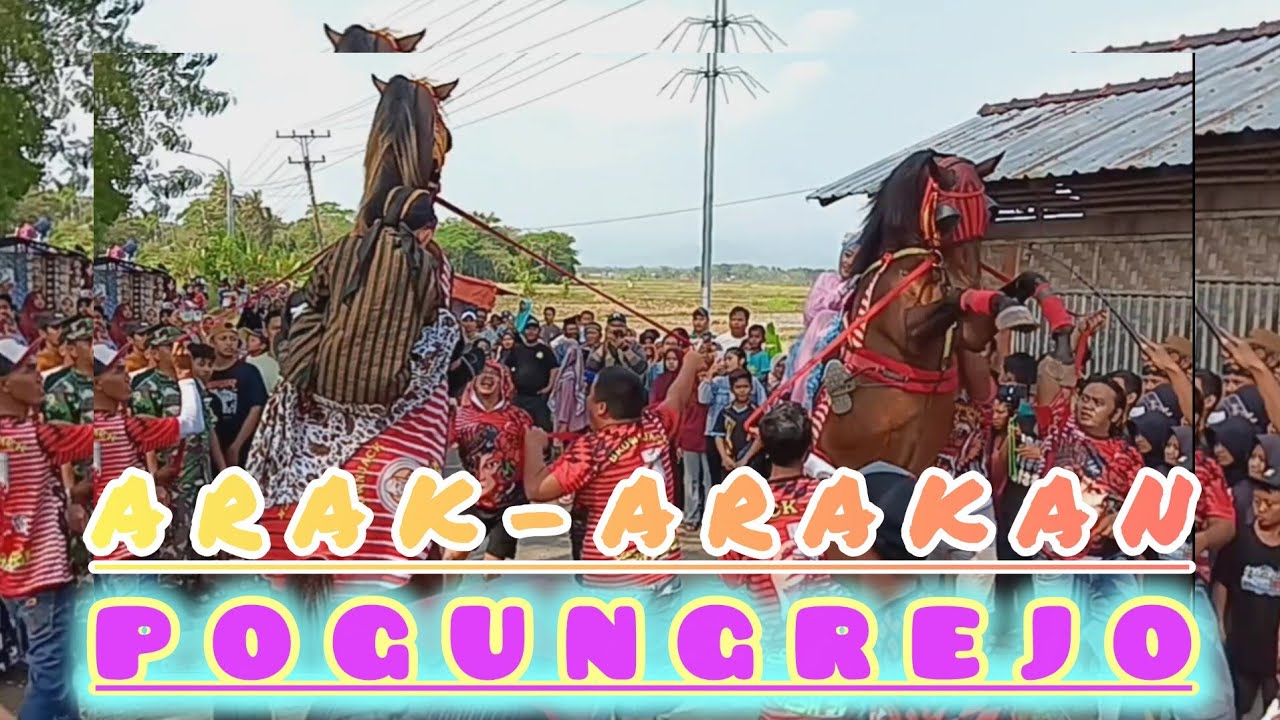 START ❗️❗️❗️ Pawai Kirab Pasukan Berkuda Arak-Arakan Khotmil Quran Desa Pogungrejo Bayan 02-08-2025