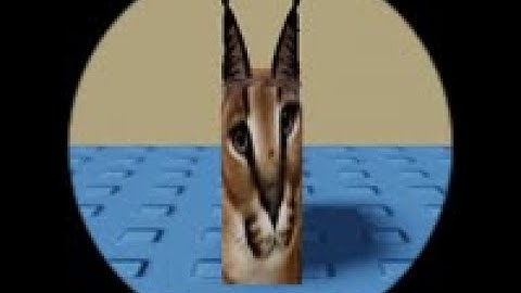 How to Find Thin Floppa in Find The Floppa Morphs (120) - Roblox