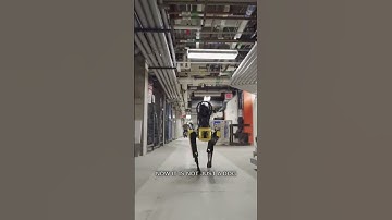 Wetenschappers hebben chatgpt toegevoegd aan de robot van Boston Dynamics