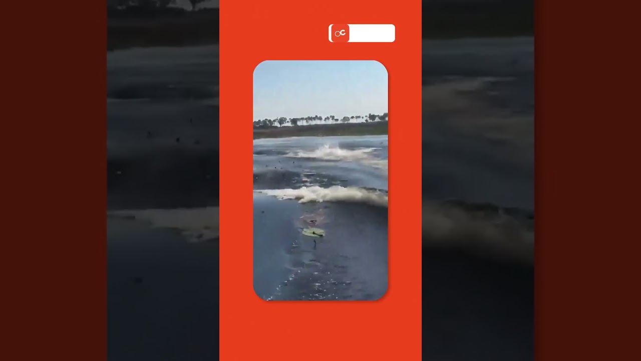 VIRALIZOU: HIPOPÓTAMO persegue barco com turistas e imagens impressionam