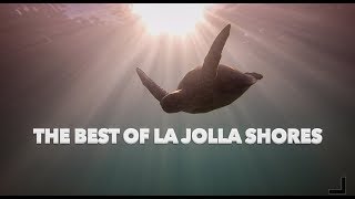 The Best of La Jolla Snorkeling/Free Diving by Stephen 2,076 views 5 years ago 4 minutes, 8 seconds