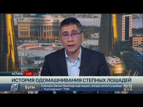 История одомашнивания степных лошадей. Мнение эксперта
