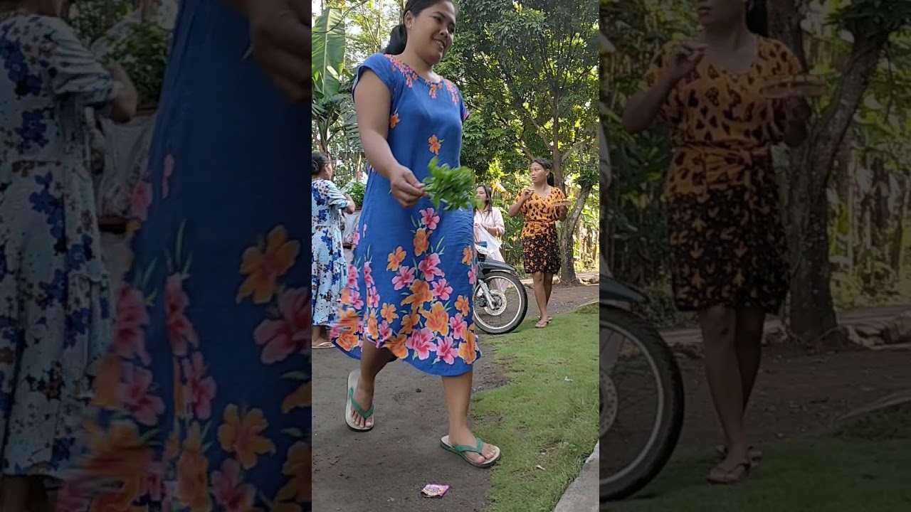 jual sayur di kerjain ibu ibu muda