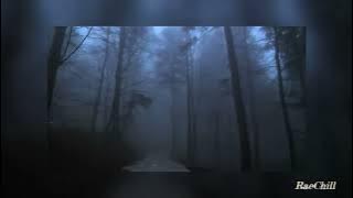 God's Creation - daniel.mp3 // 1 hour loop // rain