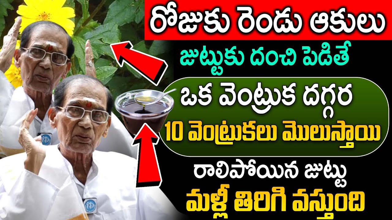రోజుకు రెండు ఆకులు జుట్టు పెరుగుతుంది | Hair Growth Hair Fall | Dr BA Venkata Swamy | iDream Health