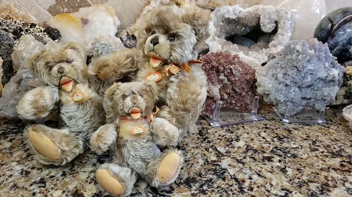The History Of Vintage Steiff Zotty Teddy Bears