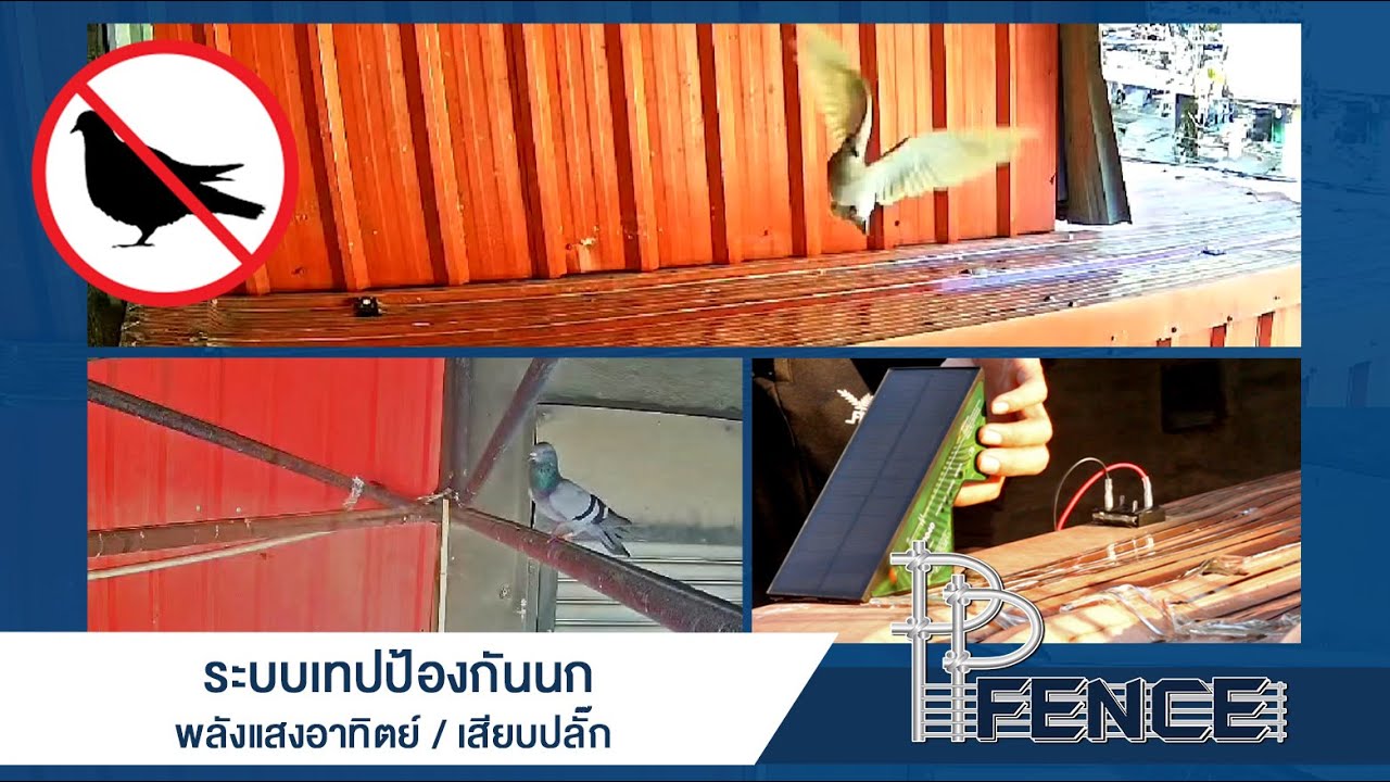 ชุดเทปป้องกันไล่นกพลังแสงอาทิตย์ / เสียบปลั๊ก พีพีเฟ้นซ์