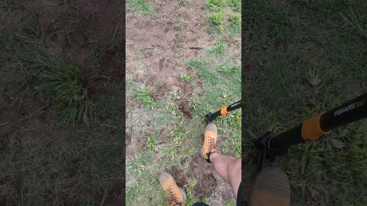 Weed puller from Fiskars