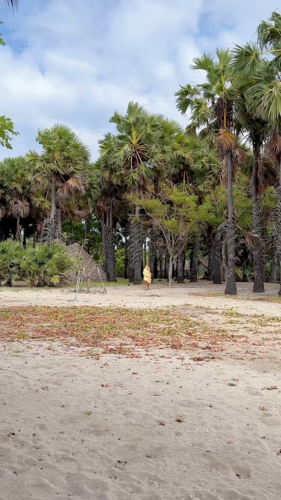 🌴🥹 #yumebali #lirikvideo #jalanjalan #traveling