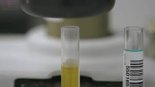 Proliv Diagnostics Total Lab Automation - Complete Video
