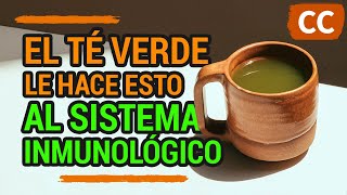 TOMAR TÉ VERDE le hace esto AL SISTEMA INMUNOLÓGICO | Ciencia de la Comida by Ciencia de la Comida 1,795 views 4 months ago 3 minutes, 57 seconds