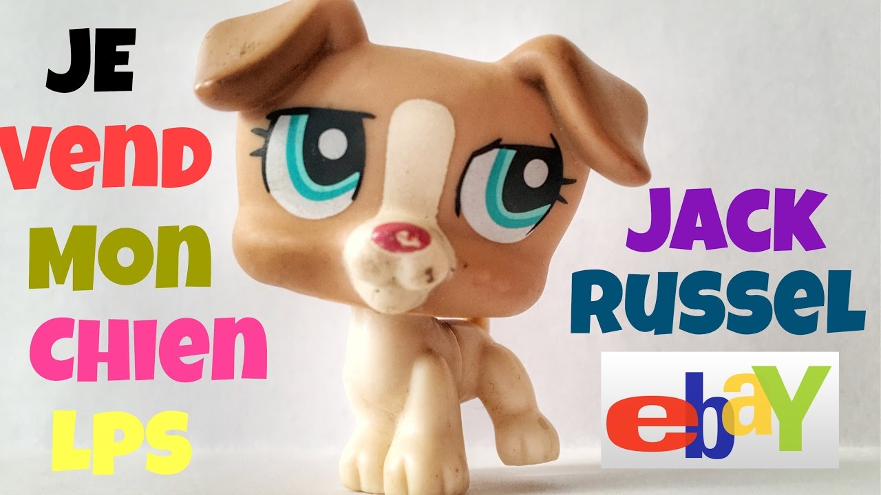 Je vend mon LPS chien dog jack russel EBAY Figurine PETSHOP