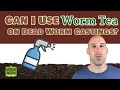 Can I Use Worm Tea on Dead Worm Castings?