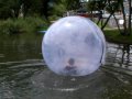 ウォーターボール® de  こんちわコンちゃん鈴木健太アナですよ! WaterBall