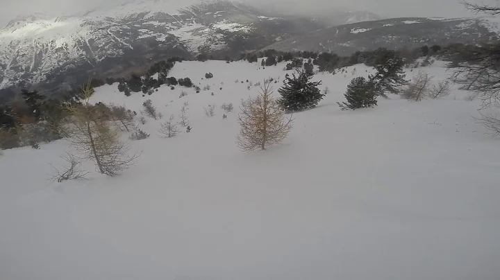 Norma snow