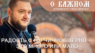 видео: Архимандрит Савва (Мажуко). О важном. Радость с горчичное зерно - это много или мало? (Звук улучшен) картинка: Архимандрит Савва (Мажуко). О важном. Радость с горчичное зерно - это много или мало? (Звук улучшен)