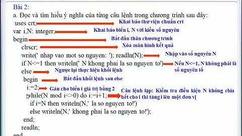 Tin 8  Bài thực hành 6  Sử dụng lệnh lặp While     do