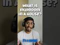 Mudroom in Architecture: What Is It? #shorts #architecture #architect #Mudroom