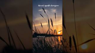 kangal irandal song whatsapp status #kangalirandal #kangal #subramaniapuram #jai