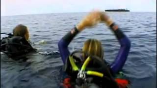 Open Water Trailer HQ 2003