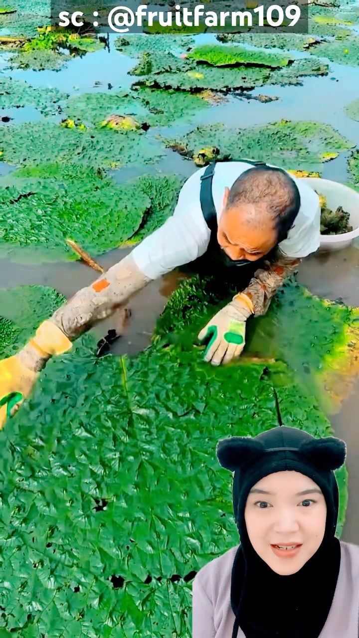 paman lagi apa ya⁉️
