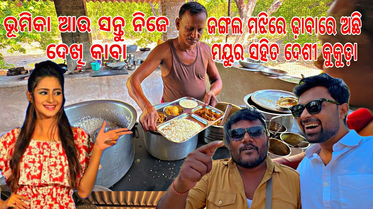 ଝାରସୁଗୁଡା ଜଙ୍ଗଲ ମଝିରେ ଢ଼ାବା | ମଟନ | ଦେଶୀ କୁକୁଡ଼ା | ମୟୁର ସବୁ ଅଛି
