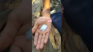 දත කකමට හරම බහත An Excellent Remedy For Toothache.