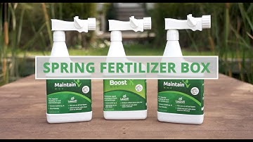 How to Fertilize Your Lawn in the Spring