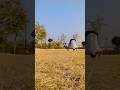 ME VS ME # Trying To Incorporate Discipline Into My Life # Like And Subscribe Plz # Jai Shree Ram 🚩🚩