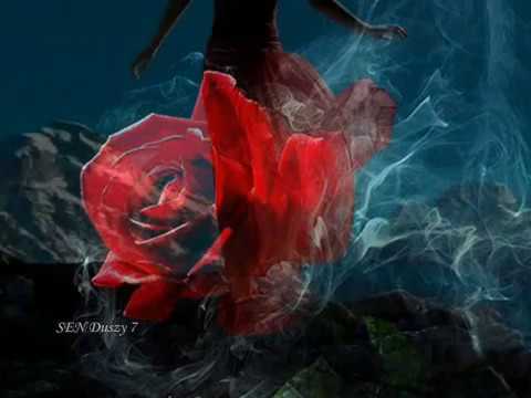 COHEN Leonard - Hallelujah ; If I Didn't Have Your Love ; Waiting for the miracle to come