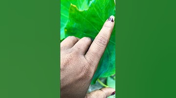 #trending #korte #video