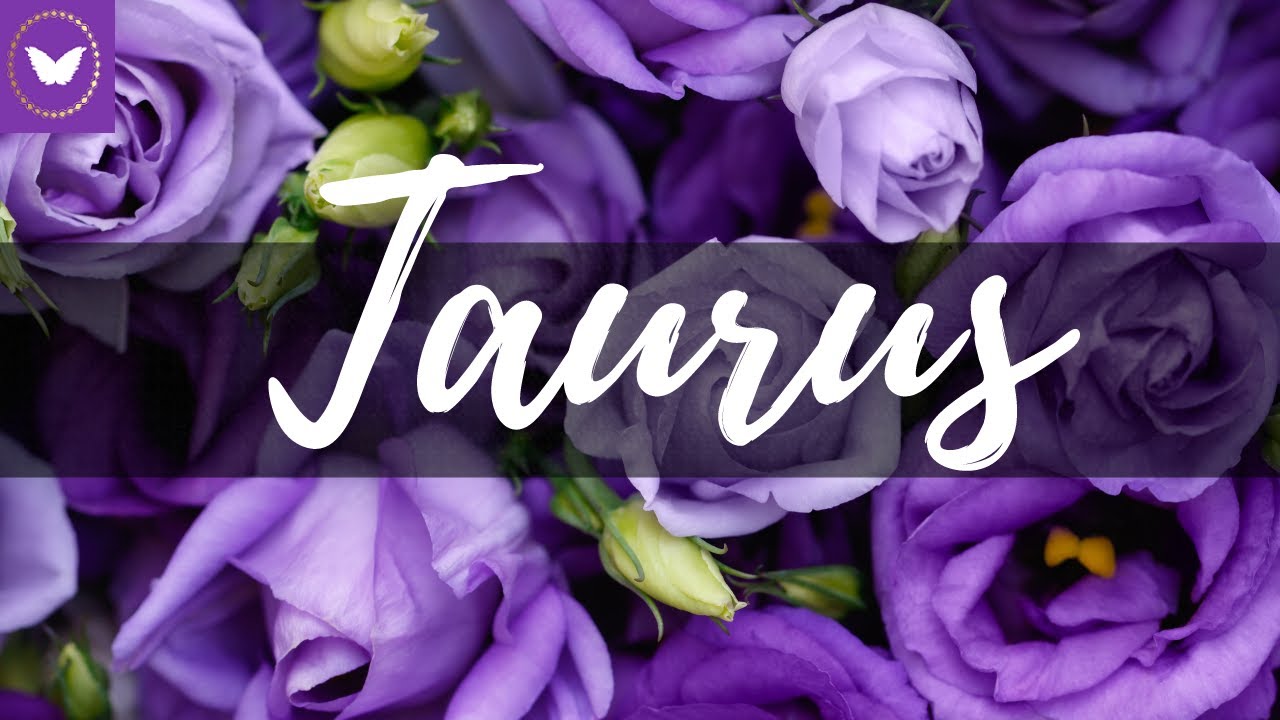 Taurus the universe is bringing you closer to a stable relationship! 💖 Tarot Love Reading