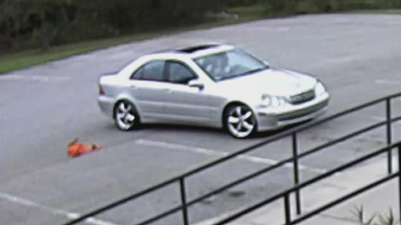 Female Suspect Wanted After Cat Thrown From Vehicle Dies - YouTube