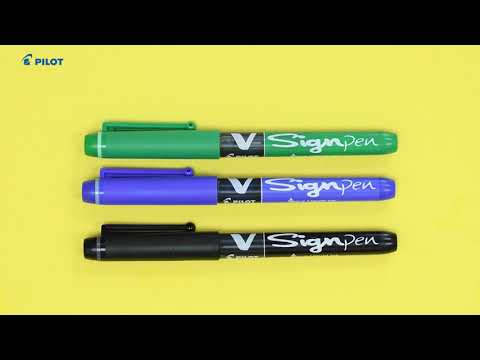 Lapiz Tinta Pilot