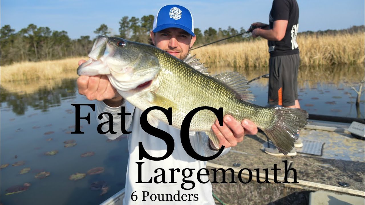 Episode 20 (Part 1) SC Bass Largemouth Bass Fishing Lake Moultrie