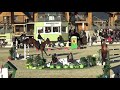 Greenfield Horses - 11 y.o. mare by Lordano / Algofa,  Majstrovstvá SR 2018, Samuel Matejka