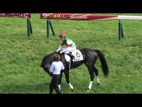 ⑦◆　競馬　JRA　◆　ロジャーバローズ　◆　ゴルフマーカー　◆　日本ダービー◆ ⑲ 競馬 JRA ◇ ロジャーバローズ ◇ ゴルフマーカー ◇ 日本