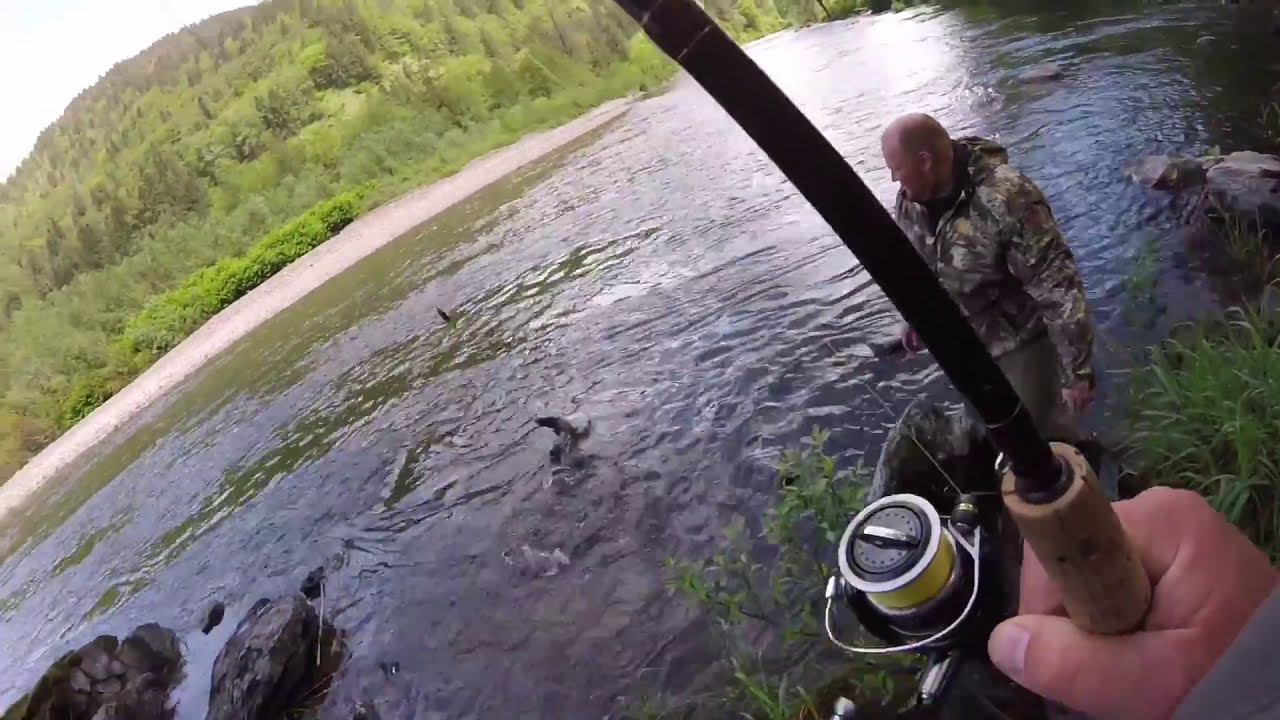 Wilson river steelhead bank fishing - YouTube