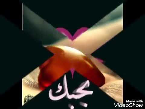 سكتي لية رامي صبري