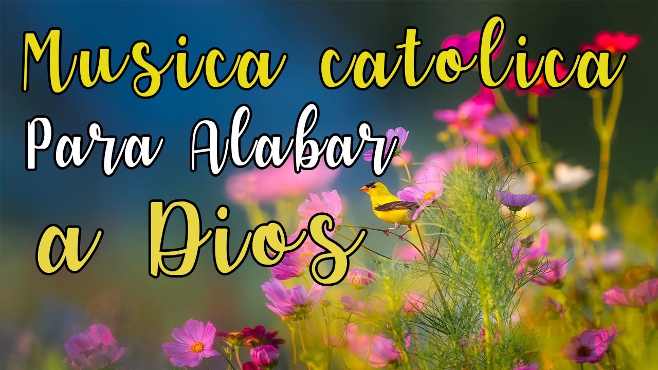 Música Católica - Hermosa Canciones Para Alabar A Dios 2023 - YouTube