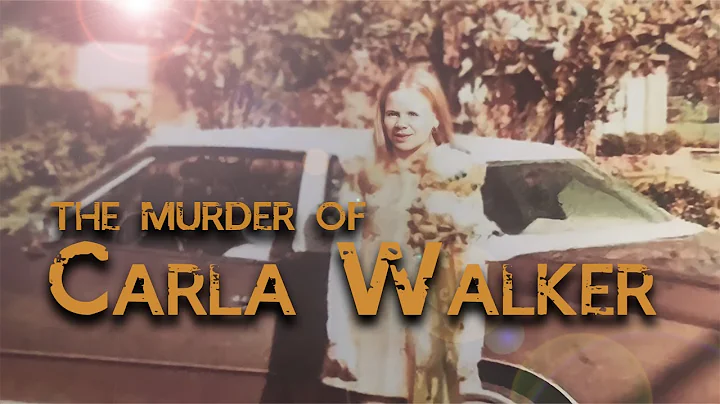 The Murder Of Carla Walker I Solved #4 (New)